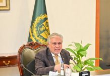 DPM led committee reviews privatization of DISCOs