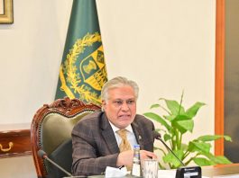 DPM led committee reviews privatization of DISCOs
