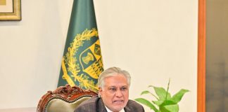 DPM led committee reviews privatization of DISCOs