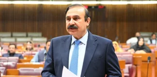 3,500 Pakistanis deported from UAE over social media law violations: NA told