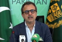 Govt not ending electricity subsidies: Owais Leghari