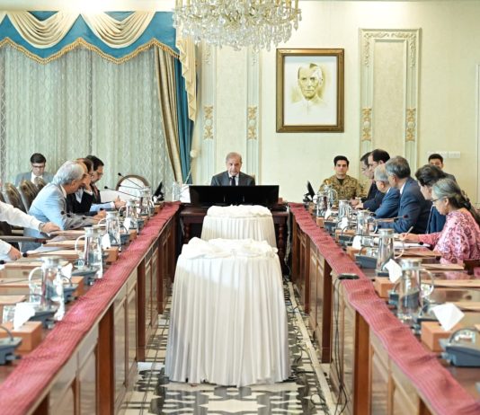 Pak-China business cooperation enters new phase as private sector links expand: PM