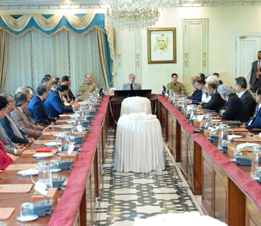 PM Shehbaz hails economic team for delivering relief-oriented budget despite fiscal constraints