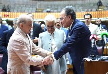 PM meets MNAs during budget session