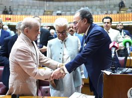 PM meets MNAs during budget session
