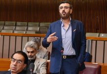 Qadir Gillani calls for direct subsidy system for farmers in budget debate