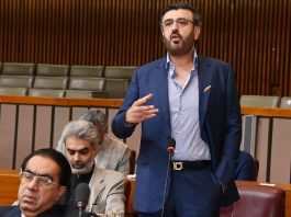 Qadir Gillani calls for direct subsidy system for farmers in budget debate