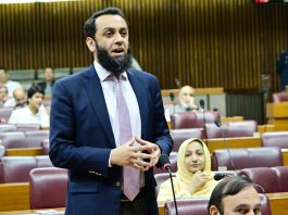 Economic stability enables relief-focused budget for all segments: Tarar