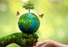 World Environment Day: A Call for Action to Protect Our Planet