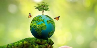 World Environment Day: A Call for Action to Protect Our Planet