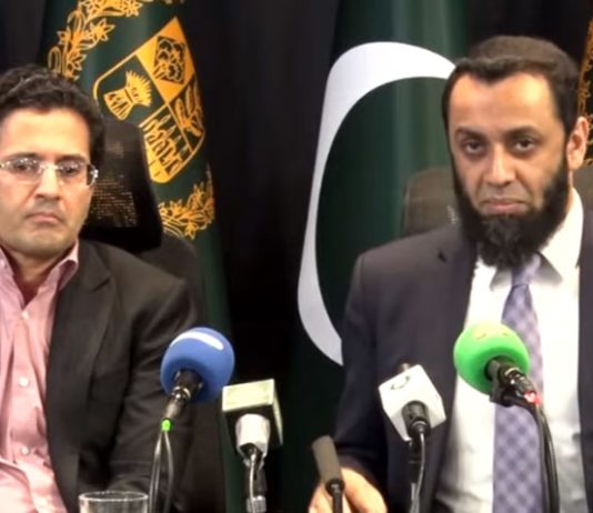 OGRA to announce petroleum prices daily: Ali Pervaiz