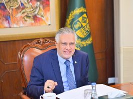 Government focused on excellence, transparency in higher education: DPM Ishaq Dar