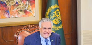 Government focused on excellence, transparency in higher education: DPM Ishaq Dar