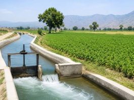 KP plans irrigation project for 10,930 acres of agricultural land