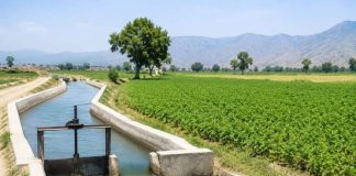 KP plans irrigation project for 10,930 acres of agricultural land