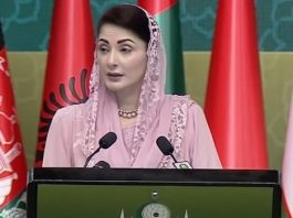 Maryam Nawaz calls for collective action to empower women across muslim world