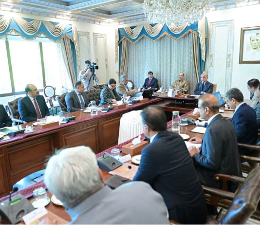 PM Shehbaz reviews progress on IT roadmap, vows to boost digital economy and exports
