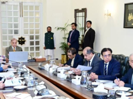 PM Shehbaz chairs first Daanish authority board meeting, orders timely completion of schools