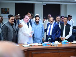 PML-N confident of securing clear majority in AJK elections: Rana Sanaullah