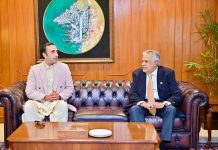 DPM Dar, PPP Chairman Bilawal discuss current situation in AJK, GB