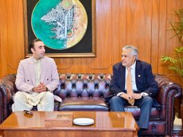 DPM Dar, PPP Chairman Bilawal discuss current situation in AJK, GB