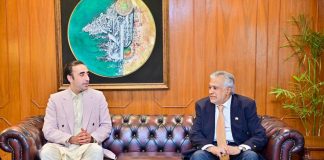 DPM Dar, PPP Chairman Bilawal discuss current situation in AJK, GB