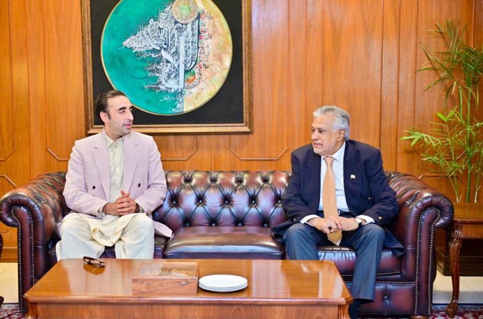 PPP Chairman