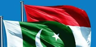 Pakistan-Indonesia Business and Investment Conference: An Excellent Initiative to Enhance Bilateral Trade and Investment I