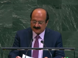 Peaceful polling marks first phase of AJK elections in Mirpur Division: Tariq Fazal