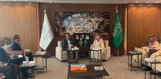 Pakistan, Saudi Arabia agree to expand economic, energy cooperation