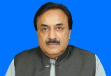 Interior secretary, DG FIA meet Deputy Chairman Senate