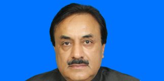 Interior secretary, DG FIA meet Deputy Chairman Senate