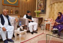 PPP and JUI-F Cement Seat Adjustment in Azad Kashmir Following Zardari House Meeting