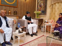 PPP and JUI-F Cement Seat Adjustment in Azad Kashmir Following Zardari House Meeting