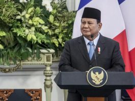 Indonesian President Prabowo Subianto: A pragmatic Far Sighted Leader I