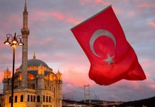 My half Century of Articles (50 ) on brother Country Türkiye