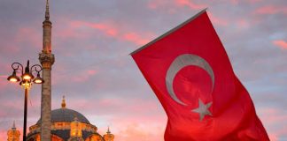 My half Century of Articles (50 ) on brother Country Türkiye