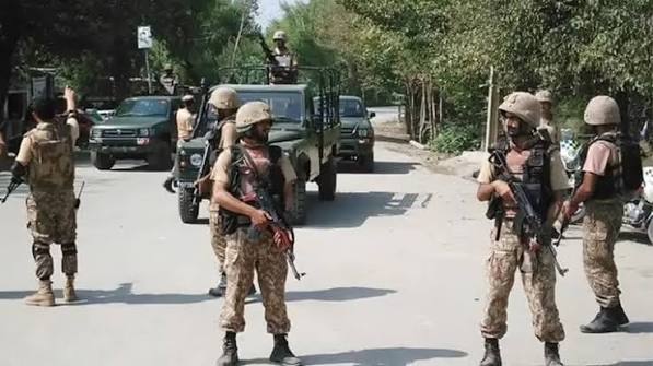 IBOs
