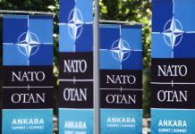NATO Summit in Ankara: Immense Importance and Growing Influence of Türkiye in the International Power CorridorI