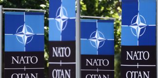 NATO Summit in Ankara: Immense Importance and Growing Influence of Türkiye in the International Power CorridorI