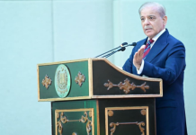 PM launches National Olive Value Chain Policy to cut import bill