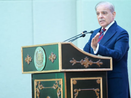 PM launches National Olive Value Chain Policy to cut import bill