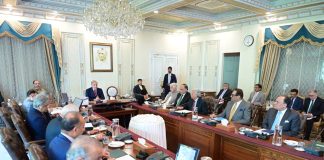 Federal cabinet pays tribute to PM, DPM, Field Marshal for defending national interests