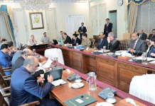 Cabinet body approves design of National Integrated Energy Plan 2027–2060