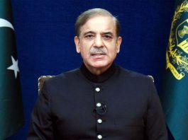 Pakistan welcomes developments on disarmament under Gaza Peace Plan: PM