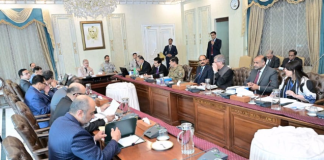 Cabinet body approves design of National Integrated Energy Plan 2027–2060