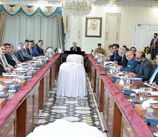 PM for timely completion of privatization programme