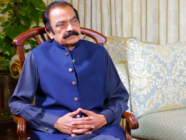 Rana Sanaullah