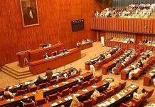 Senate seeks time-bound probe into PIMS fire tragedy
