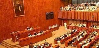 Senate seeks time-bound probe into PIMS fire tragedy